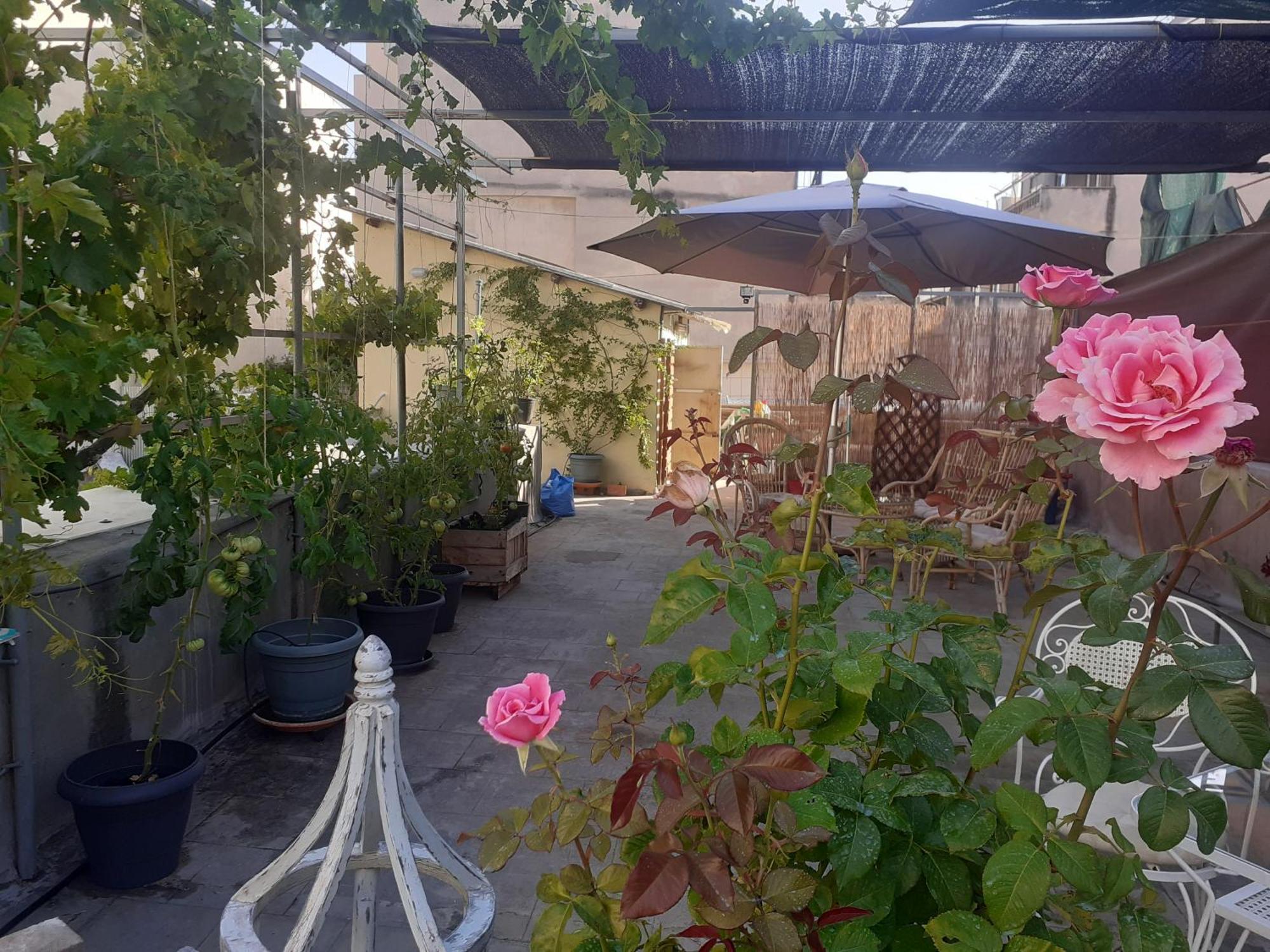 Apartment 17 Flats And Roof Garden